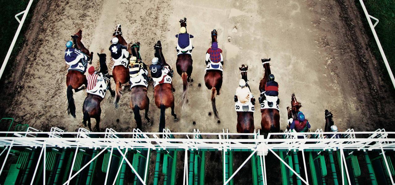 Why Start-ups Fail? A Singular Reason.