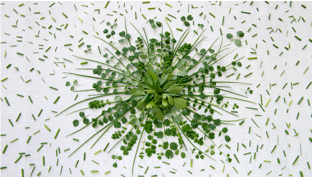 How Offset Tech Sales in a Downturn Going Negative: 80,500 views