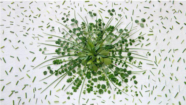 d45244ce cbc7 4140 ae1e e71b5f07327c 1